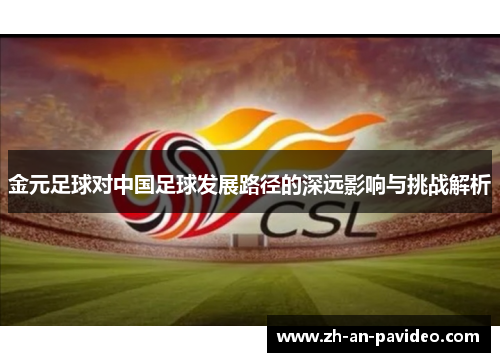 金元足球对中国足球发展路径的深远影响与挑战解析