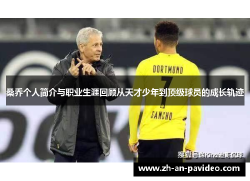 桑乔个人简介与职业生涯回顾从天才少年到顶级球员的成长轨迹 桑乔个人简介与职业生涯回顾从天才少年到顶级球员的成长轨迹